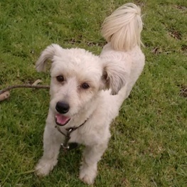 D 15718e0b ccb4 44ee a77e 01182bfb254c