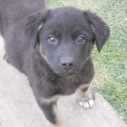 D c929ebea 450c 4774 a940 041462746d70