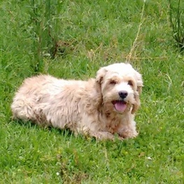 D 7cf03c67 9306 4023 8206 62731ee2dec6