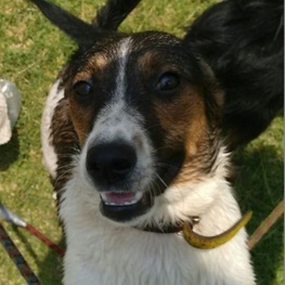 D 7111d5cc ae39 4ea0 8bd7 93dfe4cd7585