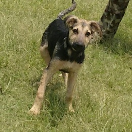 D 5783b50b 61fe 435a 8516 2fff08f3947f