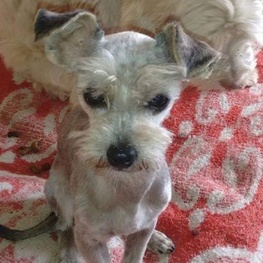 D ae05b579 9050 4fea 9c71 72ccc1e2b580