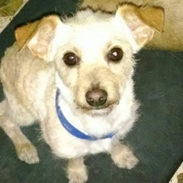 D 62bfdd45 0e0e 4b48 b6de c3141173ec4d