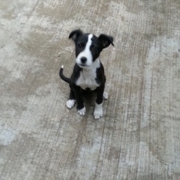 D 5d1ceb3d bb2e 4f58 ac4e 7fa64f845190