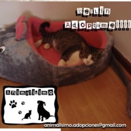 D 3043014f ff1c 4893 a544 b7e3638e6562