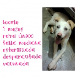 D e099c03c 971e 4448 bcac 259b7c81a85e