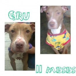 D 19576ef5 ce6f 4f97 a9d1 4fd17396131a