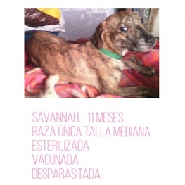 D 944c05aa 8fc6 48e1 99fa 1db303a5db44