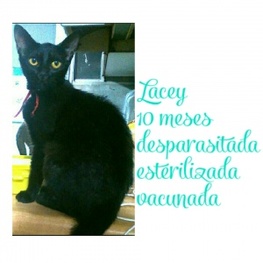 D 34806d54 dad0 4c20 afe6 9c7bcb51db18