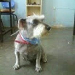 D a5e38264 7f76 485f 8526 b68fe0d302da