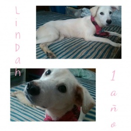 D 1093e7cd 9318 4cb2 b876 e4657e2a43e4