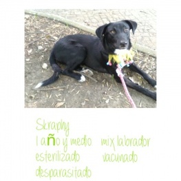 D af191811 51ad 4c7c 9d9c 25b9c8c067ae