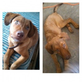 D 26cabd7c 8b82 4d52 a8cf c1984cb9d065