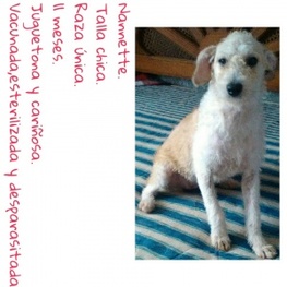 D 17961b20 2d39 4f4e b628 b5aa65fdf4f9