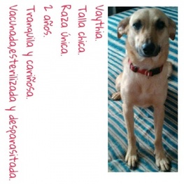 D 0e709e6a e7dc 46ba b86c cf55323371be