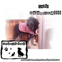 D 1c4190ec dfb1 4ee0 89ca 11609d4f3c13