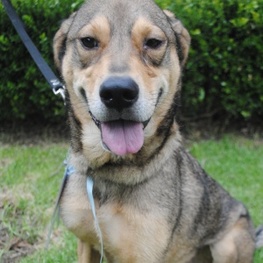 D 250eaae3 1c2e 4cf8 94e1 299232f21019