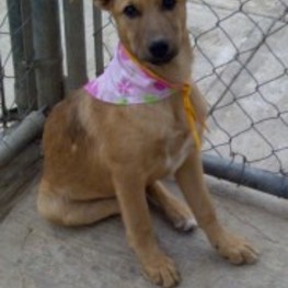 D 47857232 252f 4719 adb8 1bc18d141025