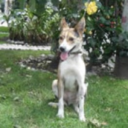 D 0ebc295a 3dec 4813 adb2 5dd0f9a98ed1