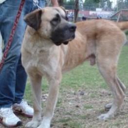 D 625609fe 16ea 4ca8 b173 df1c5eccfd37