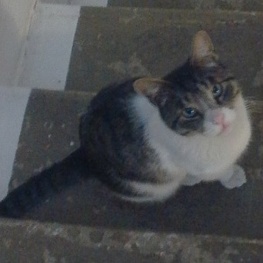 D 6b9cf811 6aa8 4df4 980d 48ad98fc3225