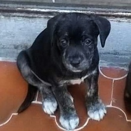 D c0641347 bdbd 46f6 90a7 6c483b804653