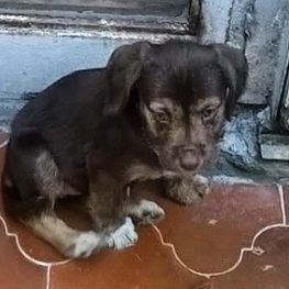 D a4ed1e72 c122 4d83 8c49 c3e3c1c93688