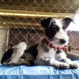 D 5b8f3e90 2550 430d a4e4 8729bc67c51e