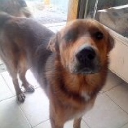 D ee81e447 98a8 4c28 bd18 a5420e6620d2