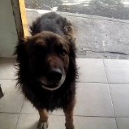 D a48ad974 117e 41af 98ca e12e2476ef9f