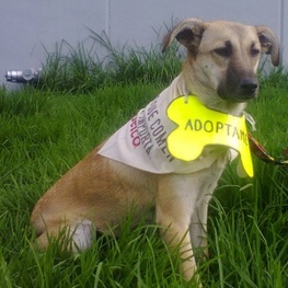 D 04e3ac38 9dbd 4438 9d9a 175de6f891d5