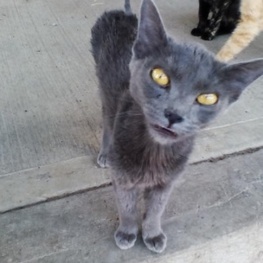 D 4ff87e8d f9d2 403f a108 b991d11ec642