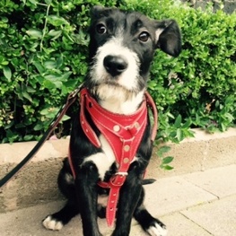 D e74297b0 6edd 4c68 a1b1 71ef3615d56a