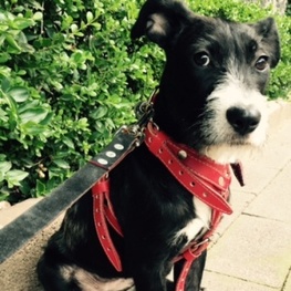 D 365dd465 839b 4cd6 a13c 35c39aec8a0a