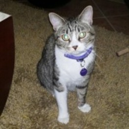 D 694a609d 3edd 46f1 ad0b 187621e27eaa