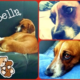 D 47d2eef3 8432 4c13 b453 4f0438ddcde3