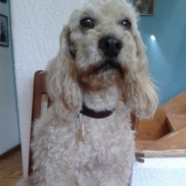 D c706bffc 3adf 4582 b0e8 c90edc950d44