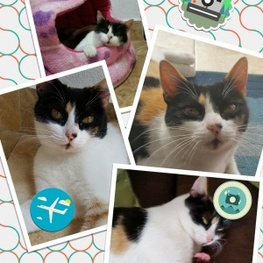 D 9e000c5f d559 4204 a156 326fb4f010f4