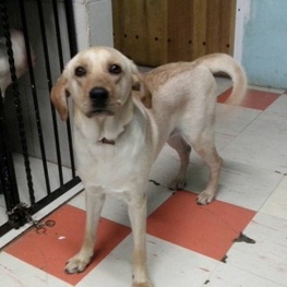 D d0bffb47 f0ca 445d bb70 c3c45d6f861e