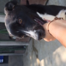 D 6abdb239 bcf0 48b6 af8b 04d27d43696a