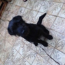 D 679445d4 b20c 4986 a76f 1bd29ef2247d