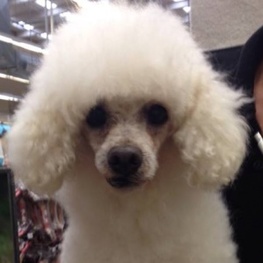 D 43595719 409b 4abc ba82 9cddb4bdaab8