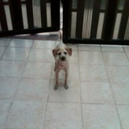 D 1f1c92f2 3d08 4f9d a684 9b654d08367a