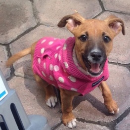 D c7d2fc37 a235 4bed 9d79 88e86e9250b9