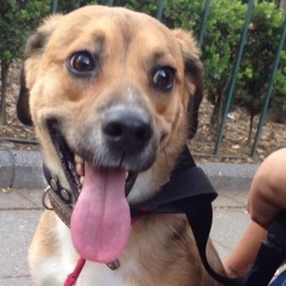 D 83f093fa 137a 4af6 94fa 2f7ad1c0b0ca