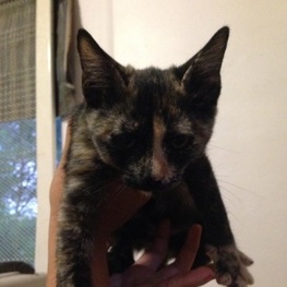 D 020abba0 e83d 4d2c b8eb fd812329bb69