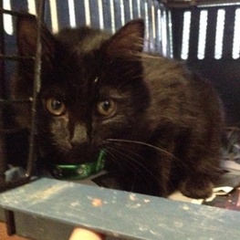 D c7555ab7 dd9e 4ef9 b1a2 2fa6d9b6459f