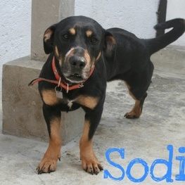 D e197d8e2 5ac3 4b20 9cc2 5d387a7cacfb