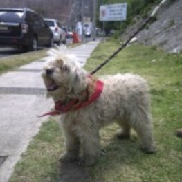 D 85c34f0d 78a5 43a2 a916 4c96f8f5945a