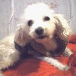 D 4e167b61 967f 4089 a7e0 0667aa205c32